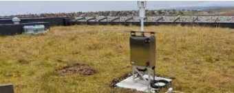 Ný sjálfvirk tækni breytir frjókornamælingum