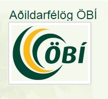 Astma- og ofnæmisfélag Íslands hlýtur beina aðild að ÖBÍ