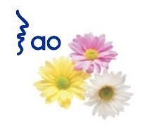 Sumarlokun júlí 2024