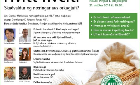 Málþing. Hvítt hveiti - Skaðvaldur og næringarlaus orkugjafi?