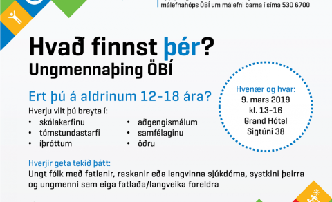 Ungmennaþing ÖBI