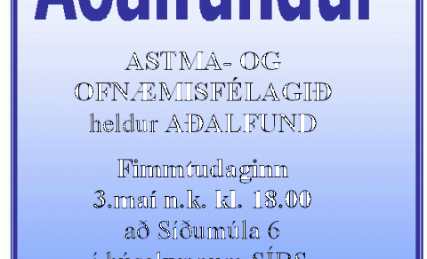 Aðalfundur 3. maí 2007