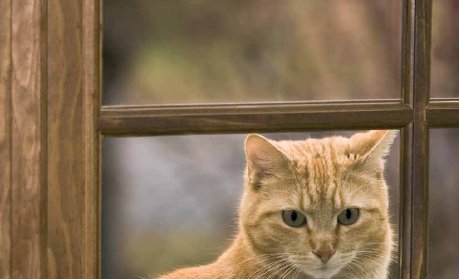 Nýtt Tímarit komin út