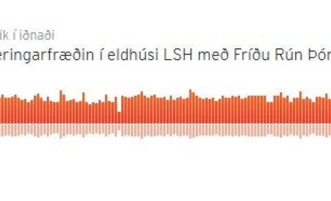 Næringarfræðin í eldhúsi LSH með Fríðu Rún Þórðardóttur