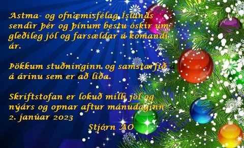 Gleðileg jól 2022