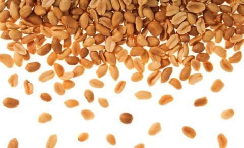 Bráðaofnæmi fyrir hnetum – hvað þarf að passa?