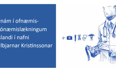 Sérnám í nafni Hallbjarnar Kristinssonar