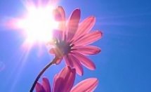 Skrifstofan er sumarlokuð